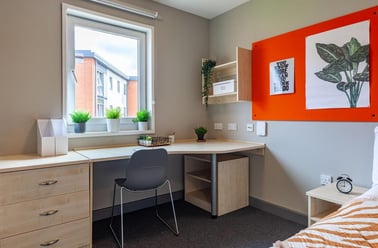 Boston Street, Highfield, Sheffield - Image 3